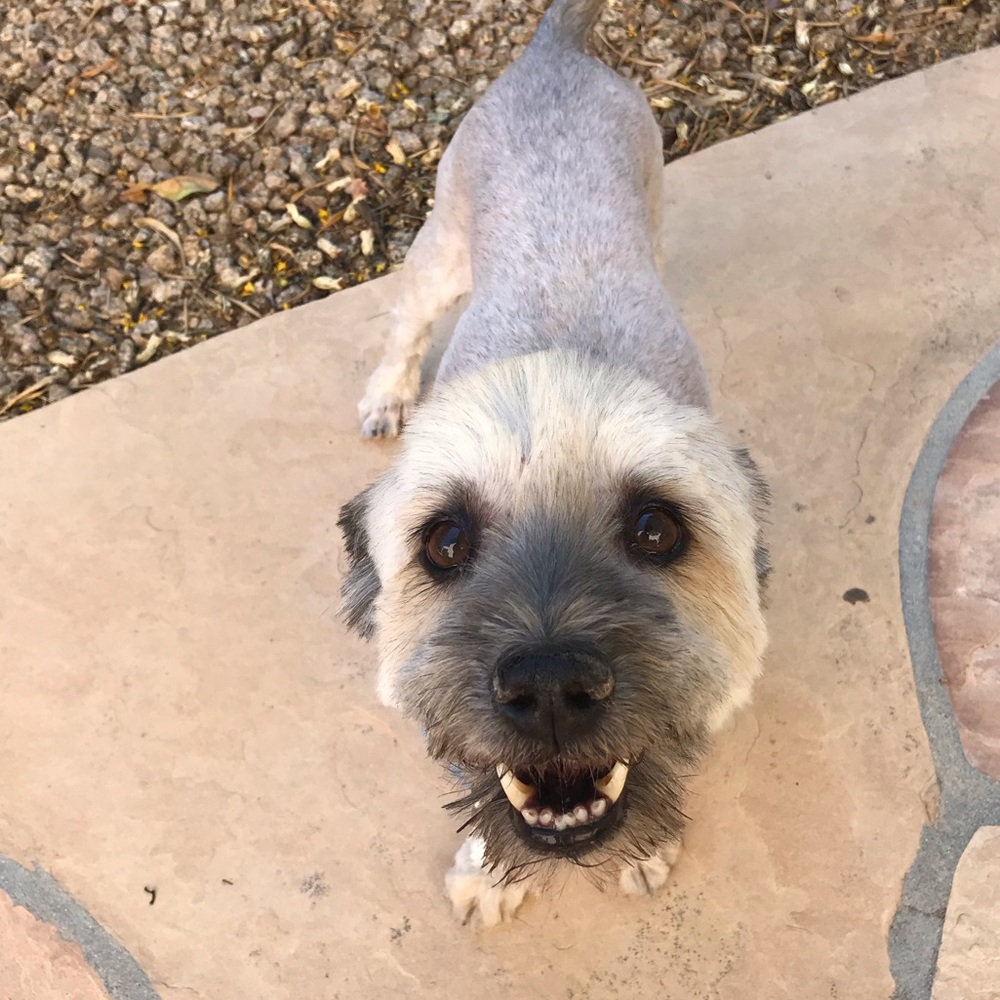 Meet your Posher, Valerie